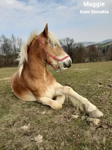 SexyAnny_ Your pets said hello to me!))) Pic 4