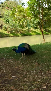 anaroman01 Getting to know a castle 🍃✨ Pic 2