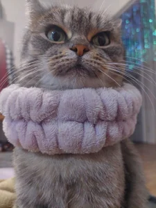 MelissaMays meaww Pic