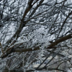 JennyPortman the world through my eyes صورة واحدة|JennyPortman the world through my eyes صورتان|JennyPortman the world through my eyes  5 صور|JennyPortman the world through my eyes  5 صورة