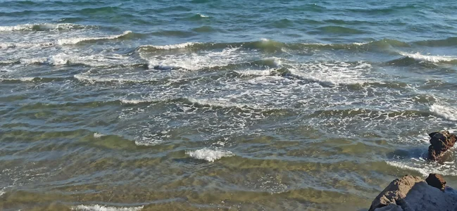 tipko123 Trip Immagine  7