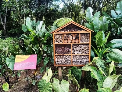 Aphrodite-777 ❤️‍🔥I invite you to my hobbies 💐 Foto 8