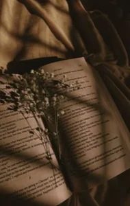 ThuBoppre sea ​​and books❤️ Pic 5