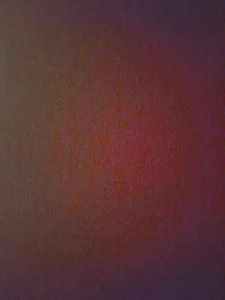 BonneQueueBonjourのPublicの 6枚の写真