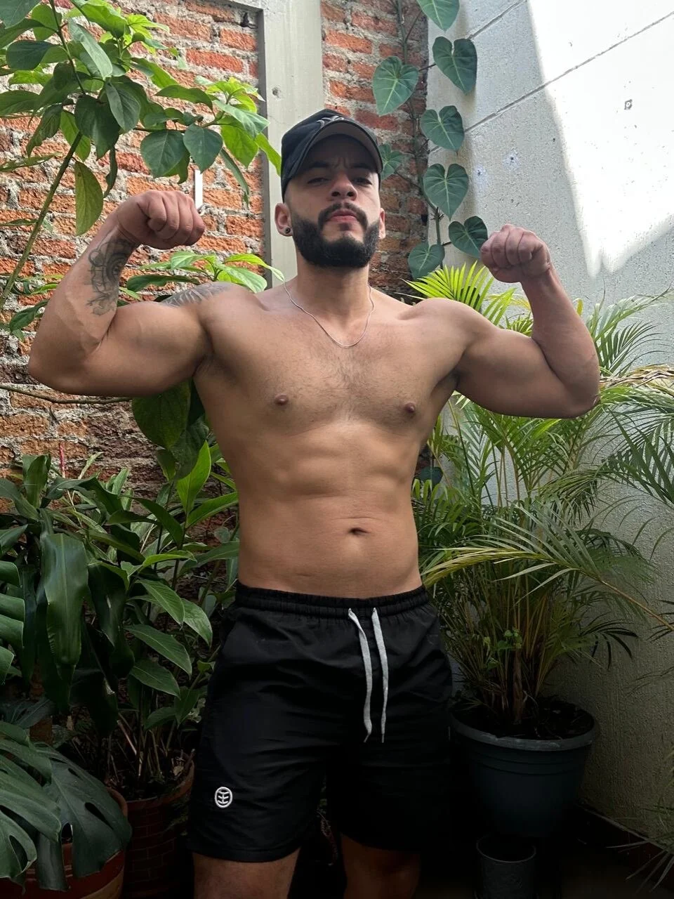 Mike_savage3 Image populaire  8742