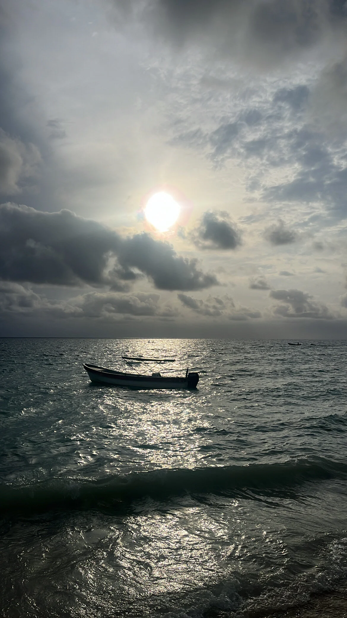 صور denian03 الرائجة  1306
