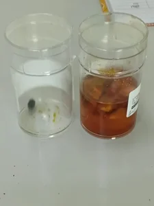 mamanyota Public Fotka