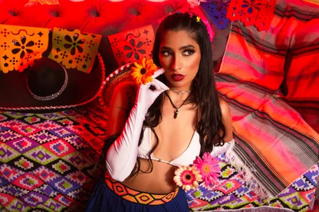 LouaneBourVipfiesta de mayo图片