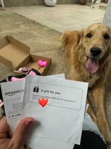 Condes_carmen Thank you for fulfilling my wish for Amazon Pic 6