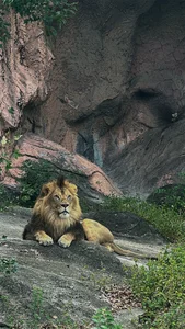 PickUp_me - 2 XXX Çıplak Fotoğraf