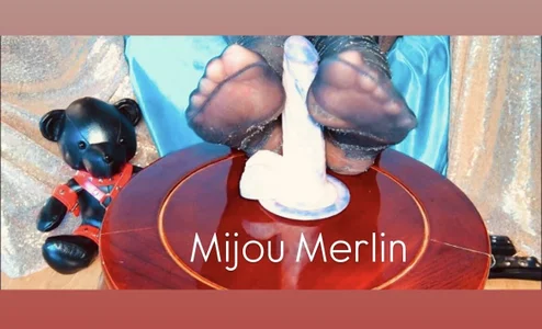 Mijou_MerlinPublic Bild 3