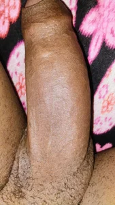 ZIANY_2301 Public Εικόνα 3