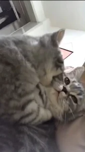 個人的癒し写真・画像 de SPOTSCAMEL  7 photos