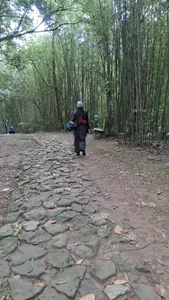 _sharlotte777 Naturally beautiful Foto 2