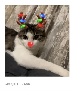 LylaYeessのMy little happiness❤️の枚の写真