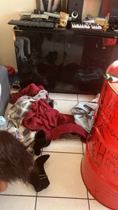 Public de bigrosa21cm  2 Imagens