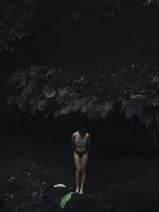 hipakera Public Bilde