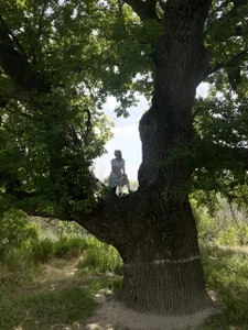 Lota22_22 Public Immagine  6