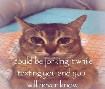 Awawrin stolen jpegs bin Foto 7