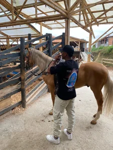 Great day ⛅ de ronnie_7777 Foto 3