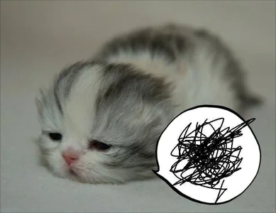 Holy420lolii Public Pic 3