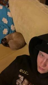 Cactus__James Lifestyle 사진 3