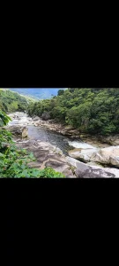 Annabell_Florez my escape spot, nature 💚💚💚 Pic 2