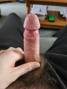 Public de Alfie41105  Imagens