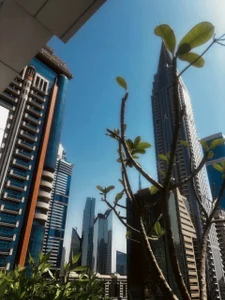 no_angelll Lovely moments of my life 💕🌟🦋 Pic 6