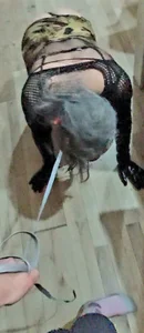 DiamondDrillBit Av-av Poză 5