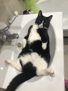 AnitaWillias's XXX Nude Photo 9