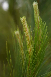 Public de Bubuchan88 Foto 7