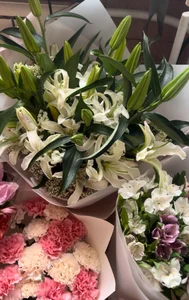 curvycatwow My b-day🎉I love flowers صورة واحدة|curvycatwow My b-day 🎉I love flowers صورتان|curvycatwow My b-day🎉I love flowers  7 صور|curvycatwow My b-day🎉I love flowers  7 صورة