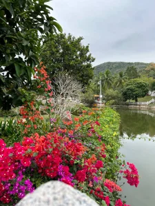 MistyBarnesvacation Bild 6