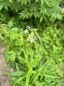 T0niR00m Public รูป  5