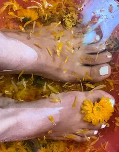 pies de relajacion od Hellen_Sky  snímek