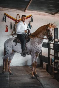 Johnnygrayson1 kullanıcısının Passion😁👌 albümü -  fotoğraf