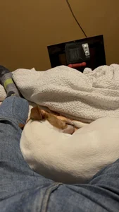 gigetto1977 Public Poză