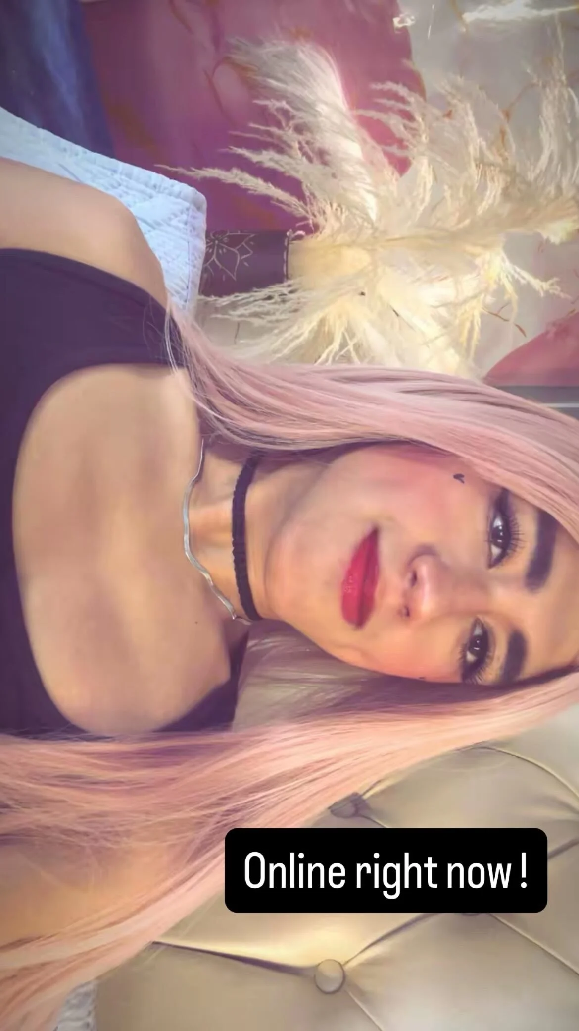 Luna_Sissy_ 님의 트렌드 중인 사진  4785개