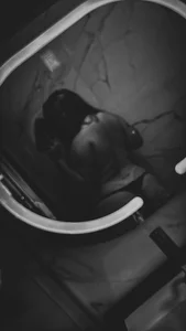 Beijoproibido Momentos ✨ Pic 9