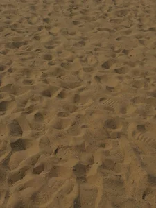 morwenveill summer, beach, sun 🌞 รูป  3