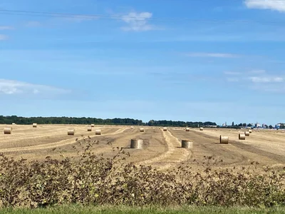 PamelaXX_のvacation))の 6枚の写真