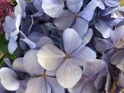 -Jun_juun- Public 사진