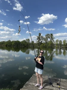 Public de EvaCarter1  4 photos