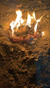 Kabir de Gujarati_boy_banana9size Foto 2