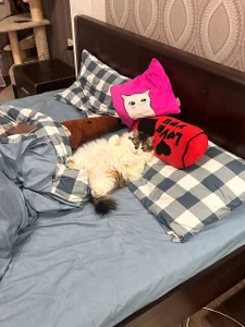 DinaTasty my animals ♡ Hình 3