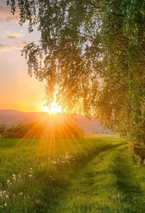 and the most favorite de HollyGibson  Imagens