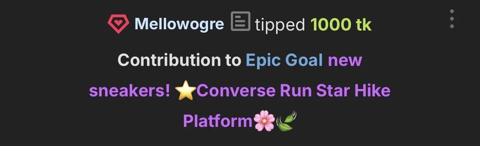 elsawhere 🤍THANK YOU🤍 epic goal: new sneakers! ⭐️Converse Run Star Hike Platform🌸🍃 Εικόνα 6