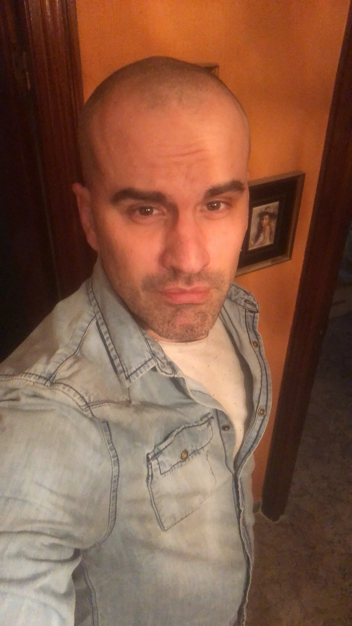 Трендове зображення  474 calvito_exotico