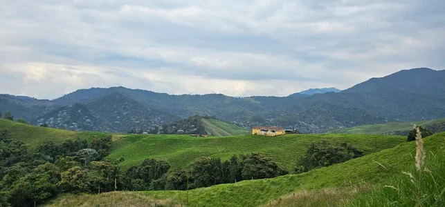 Kore_Persephone Love for nature and every inch it inhabits 🌿🍀😍 slika